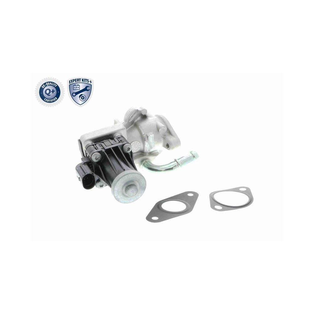 AGR-Ventil VEMO V25-63-0019 EXPERT KITS + für FORD