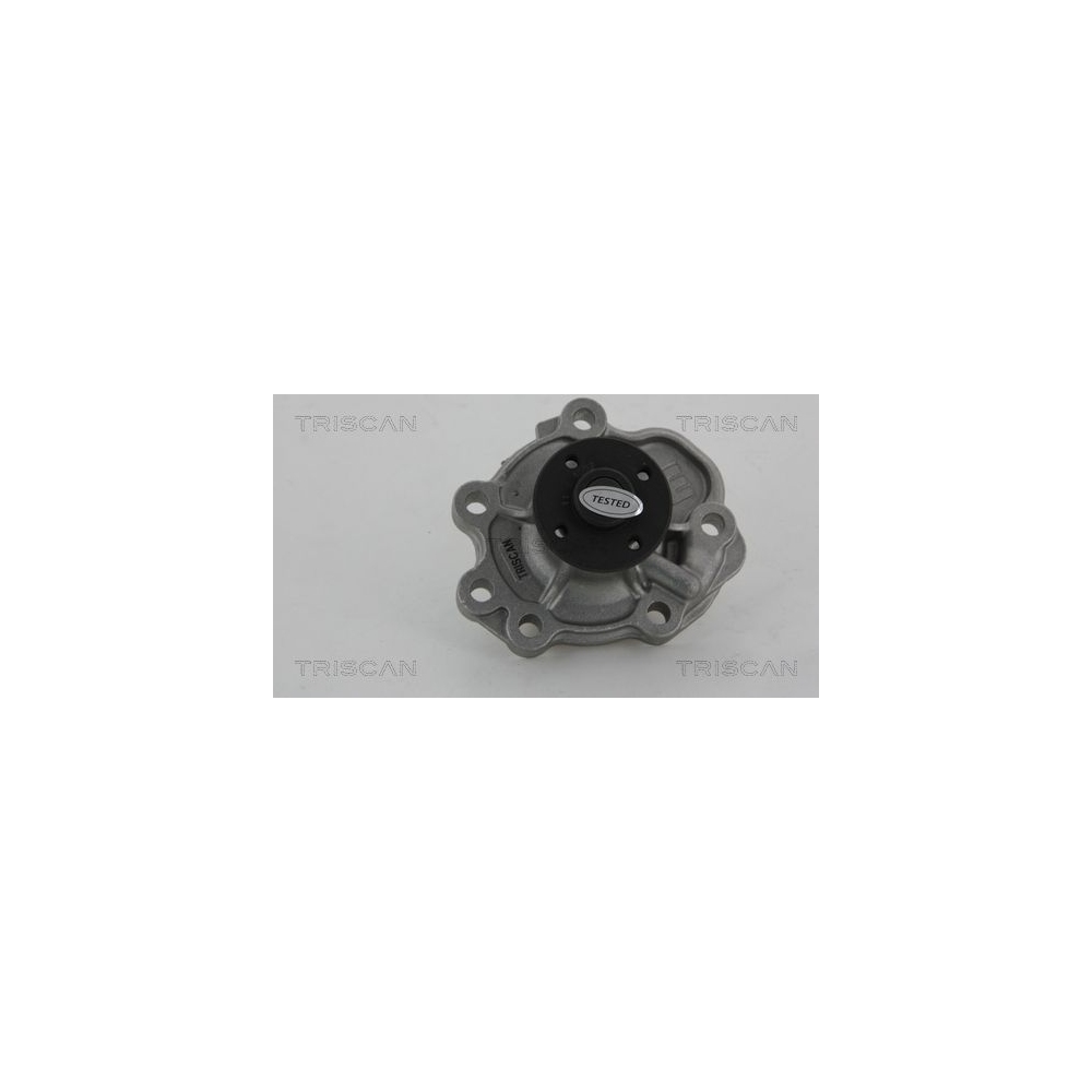 Wasserpumpe, Motorkühlung TRISCAN 8600 10035 für NISSAN OPEL SUZUKI VAUXHALL