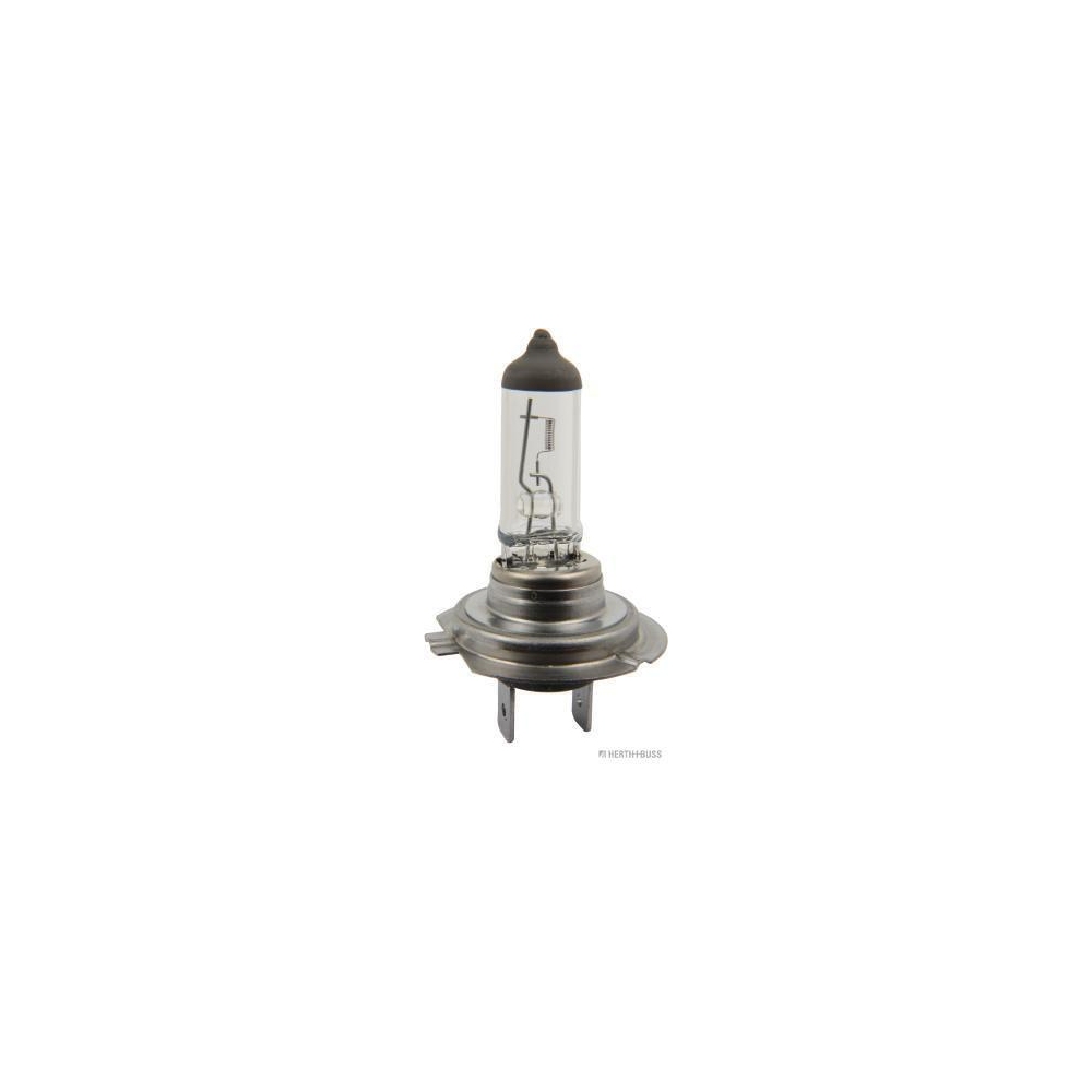 Glühlampe HERTH+BUSS ELPARTS 89901202 für, seitlicherEinbau