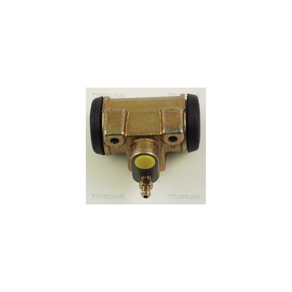 Radbremszylinder TRISCAN 8130 10042 für CITROËN FIAT PEUGEOT, Hinterachse