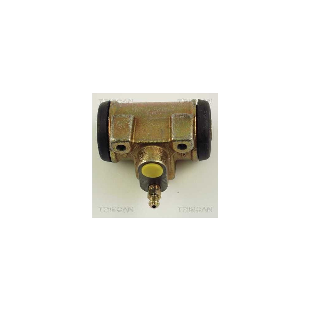 Radbremszylinder TRISCAN 8130 10043 für CITROËN FIAT PEUGEOT, Hinterachse