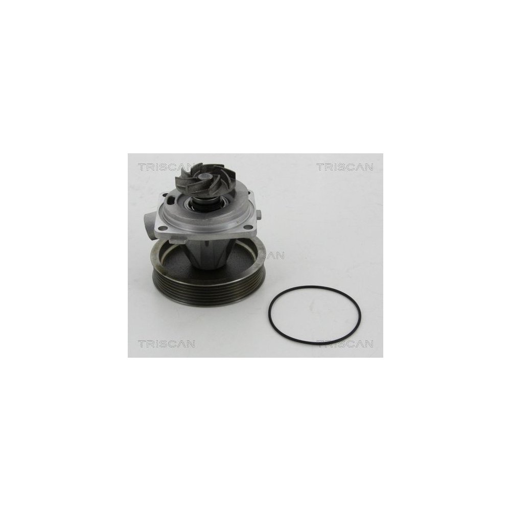 Wasserpumpe, Motorkühlung TRISCAN 8600 10080 für CITROËN FIAT PEUGEOT