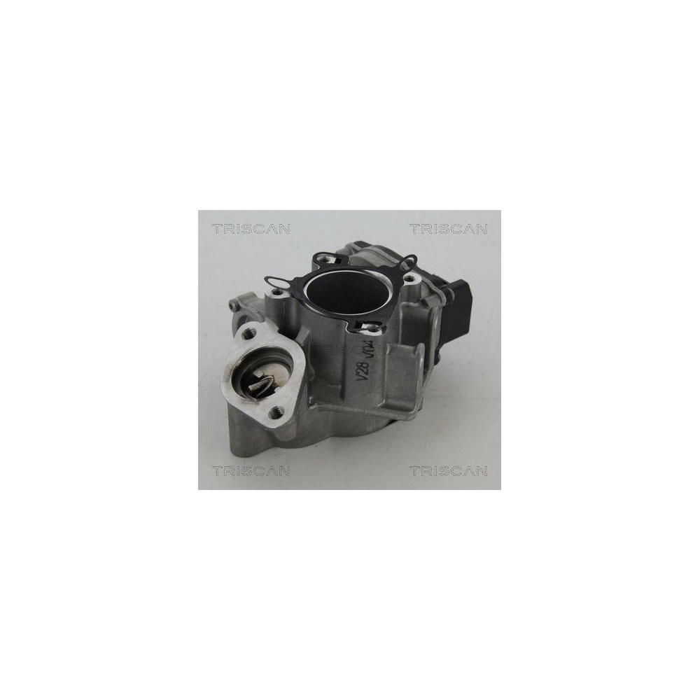 AGR-Ventil TRISCAN 8813 24039 für NISSAN OPEL RENAULT VAUXHALL