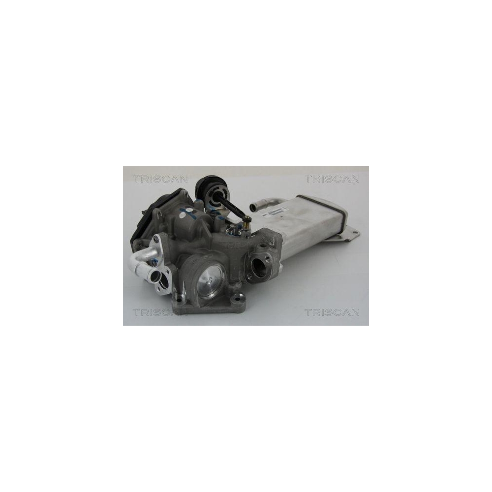 AGR-Ventil TRISCAN 8813 29303 für AUDI VW