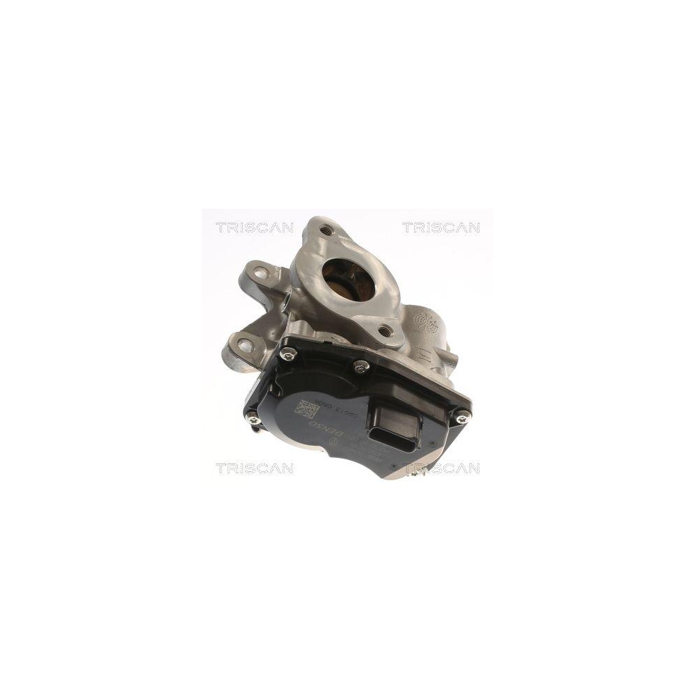 AGR-Ventil TRISCAN 8813 10116 für NISSAN OPEL RENAULT VAUXHALL