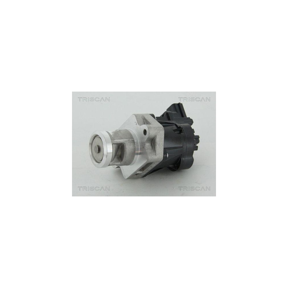 AGR-Ventil TRISCAN 8813 24083 für OPEL SAAB VAUXHALL CHEVROLET