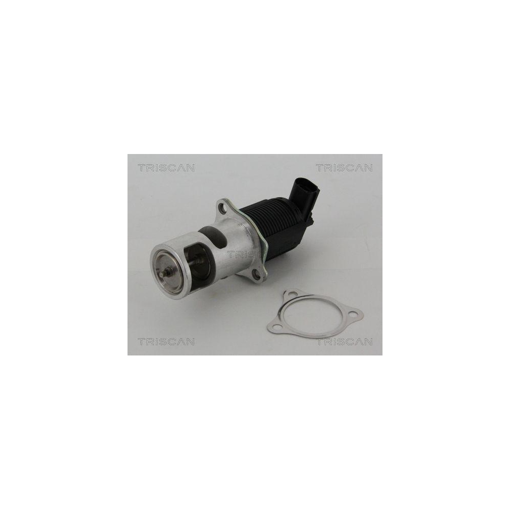 AGR-Ventil TRISCAN 8813 25005 für NISSAN OPEL RENAULT VAUXHALL GENERAL MOTORS