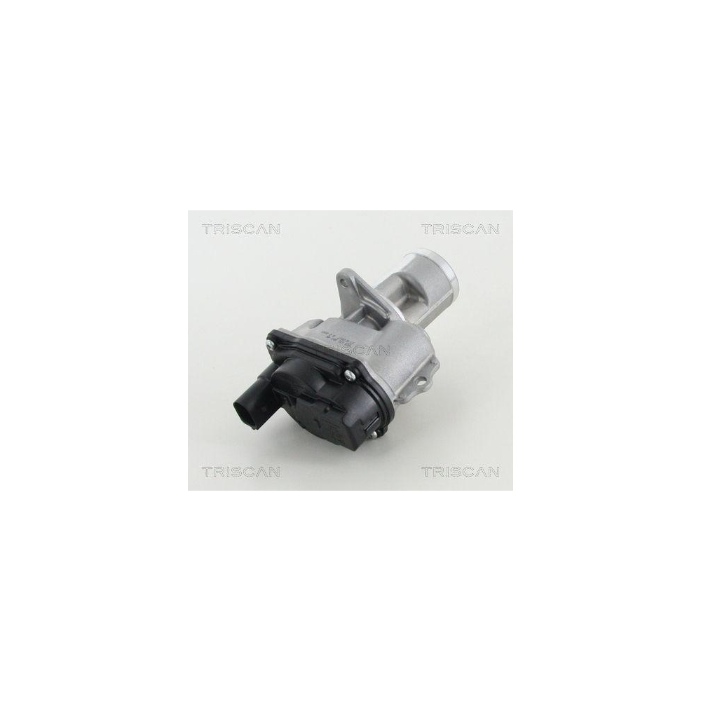 AGR-Ventil TRISCAN 8813 29065 für AUDI PORSCHE VW