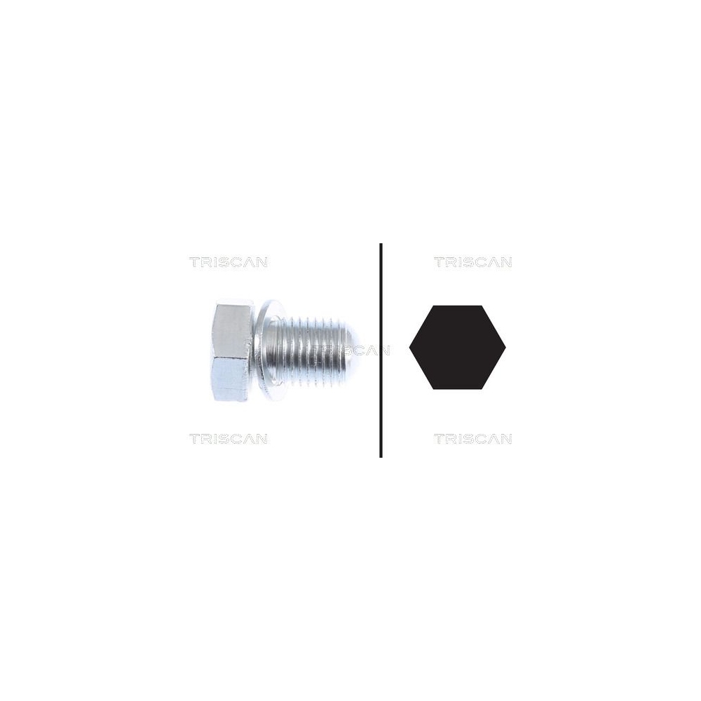 Verschlussschraube, Ölwanne TRISCAN 9500 2903 für AUDI FIAT MITSUBISHI