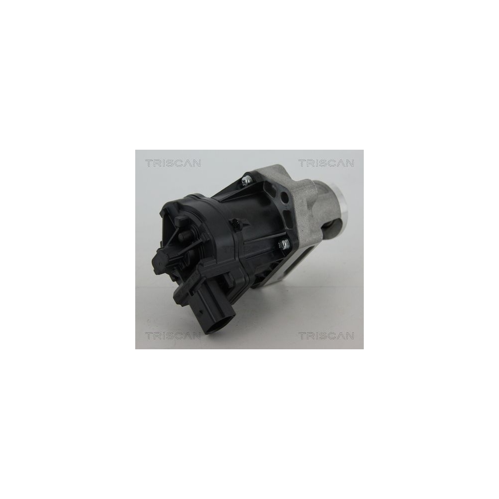 AGR-Ventil TRISCAN 8813 10006 für ALFA ROMEO FIAT LANCIA GENERAL MOTORS JEEP