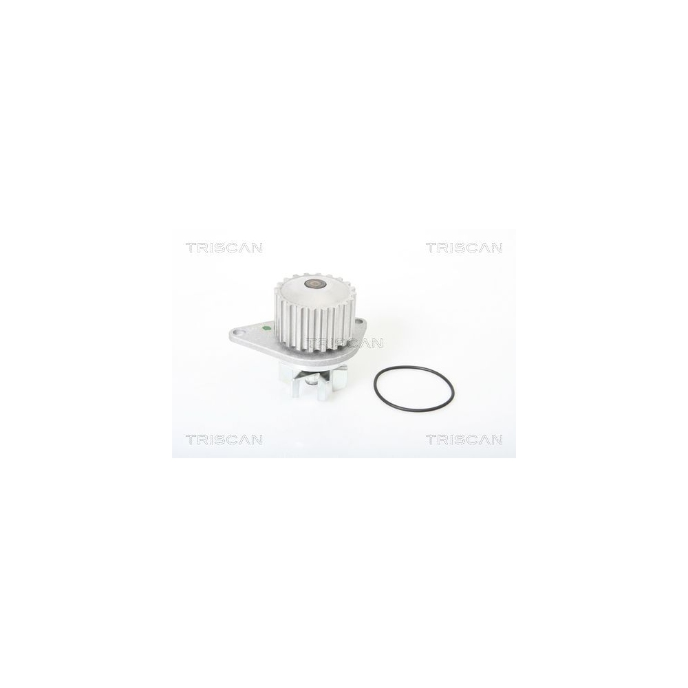 Wasserpumpe, Motorkühlung TRISCAN 8600 28844 für CITROËN PEUGEOT ROVER