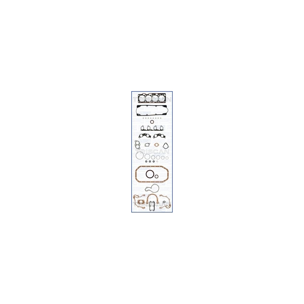 Dichtungsvollsatz, Motor TRISCAN 599-8506 FIBERMAX für