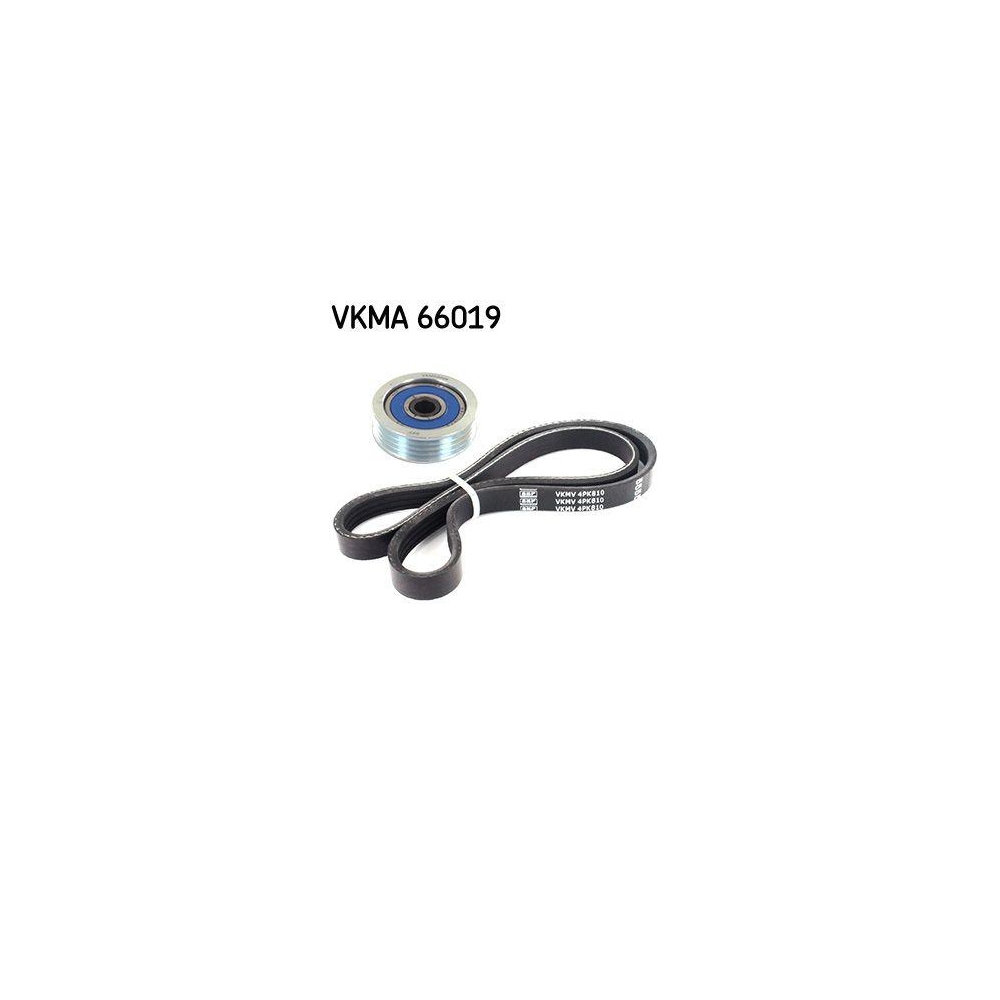 Keilrippenriemensatz SKF VKMA 66019 für CITROËN FIAT NISSAN PEUGEOT ROVER SUZUKI