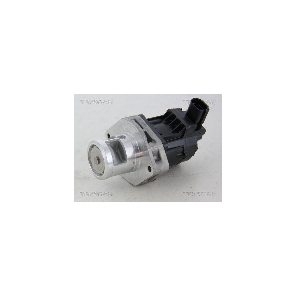 AGR-Ventil TRISCAN 8813 10214 für CHRYSLER FIAT