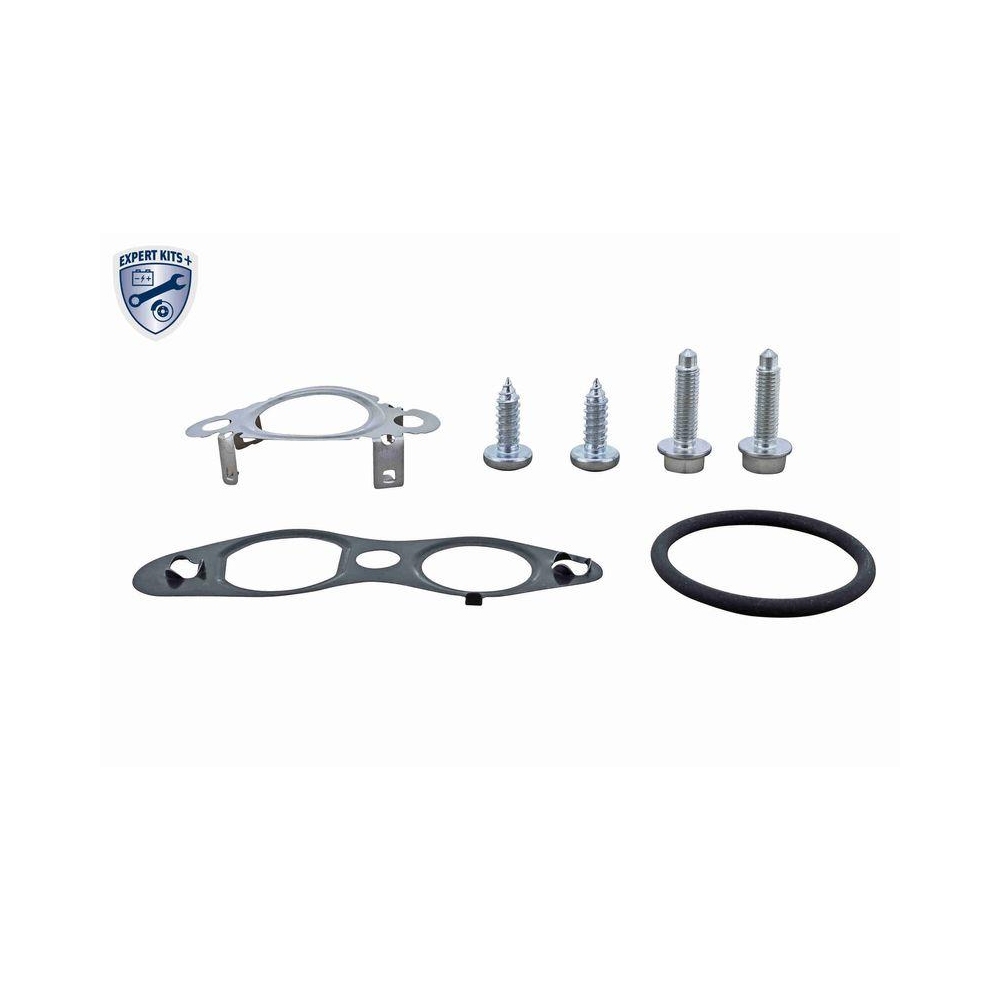 Dichtungssatz, AGR-System VEMO V25-63-9031 EXPERT KITS + für FORD