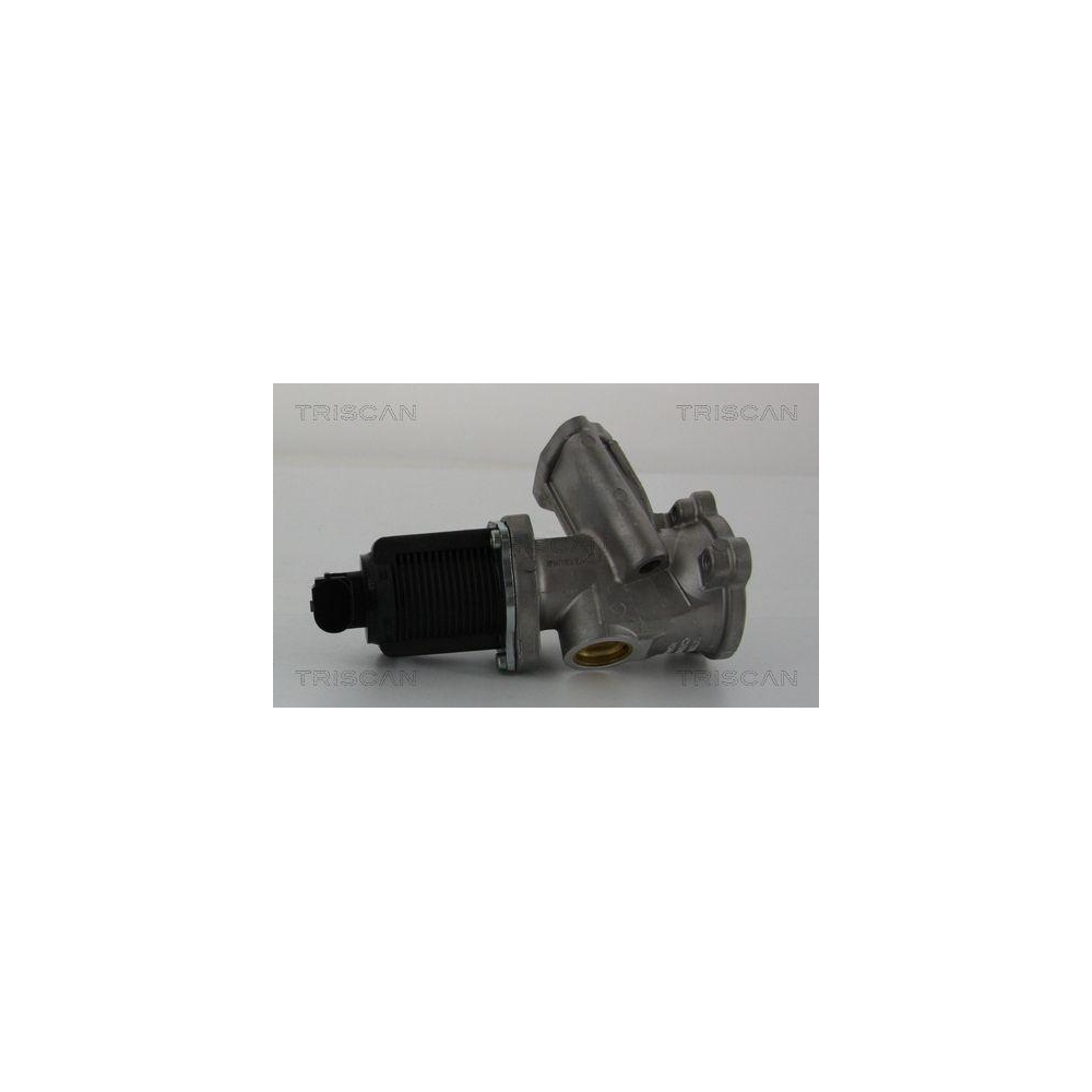 AGR-Ventil TRISCAN 8813 24204 für OPEL SUZUKI VAUXHALL