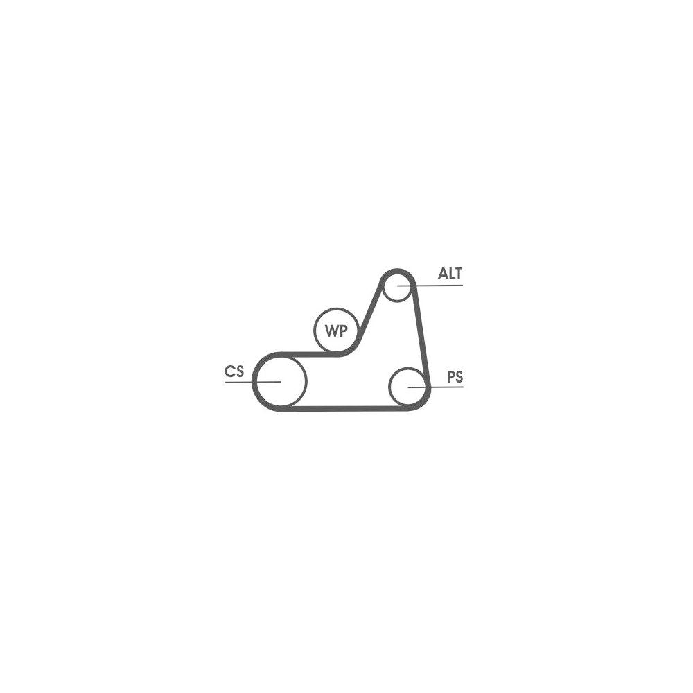 Keilrippenriemen CONTINENTAL CTAM 6PK1042 ELAST für FORD