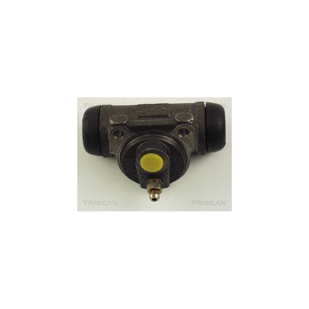 Radbremszylinder TRISCAN 8130 10038 für CITROËN FIAT LANCIA PEUGEOT, Hinterachse