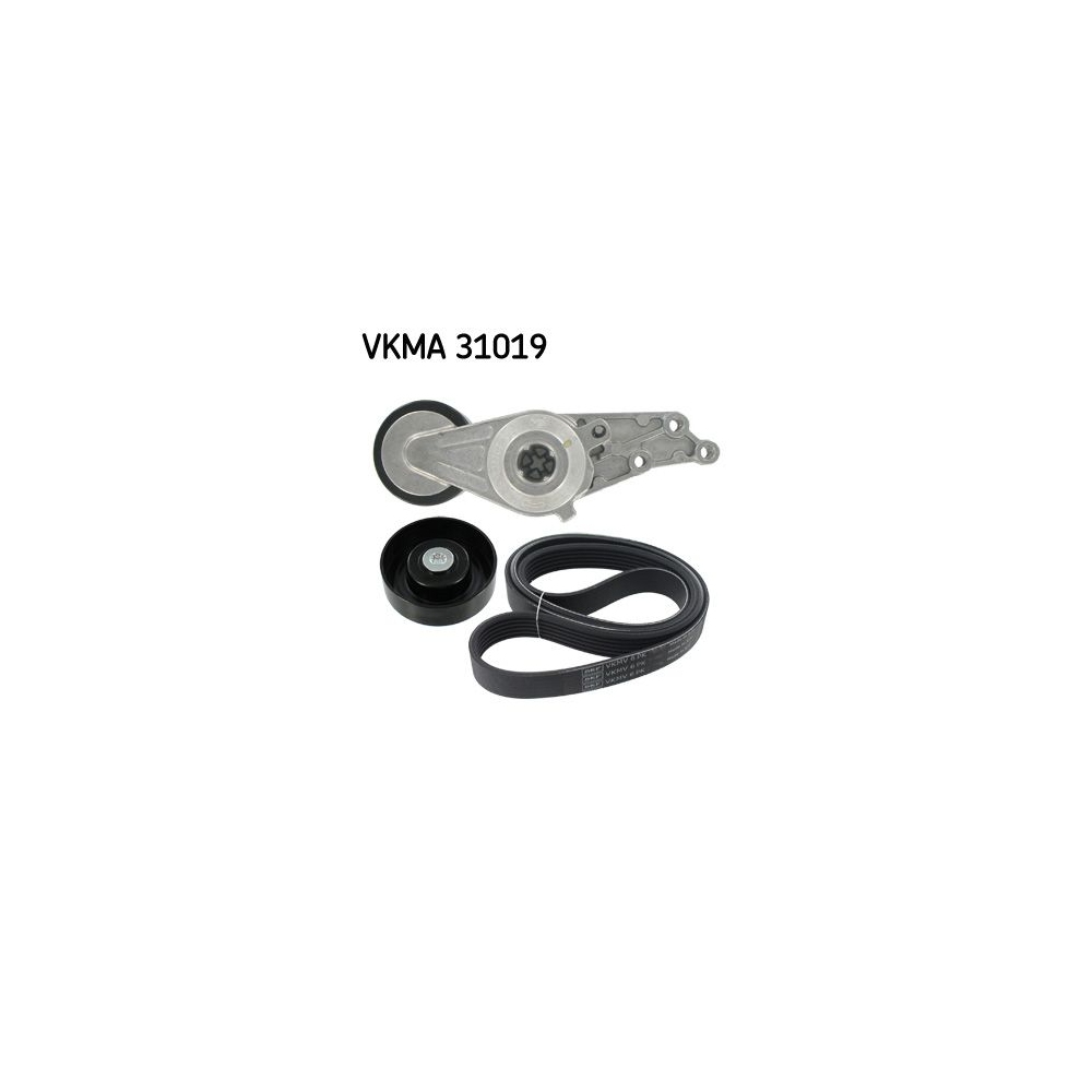 Keilrippenriemensatz SKF VKMA 31019 für AUDI CHRYSLER SEAT SKODA VW