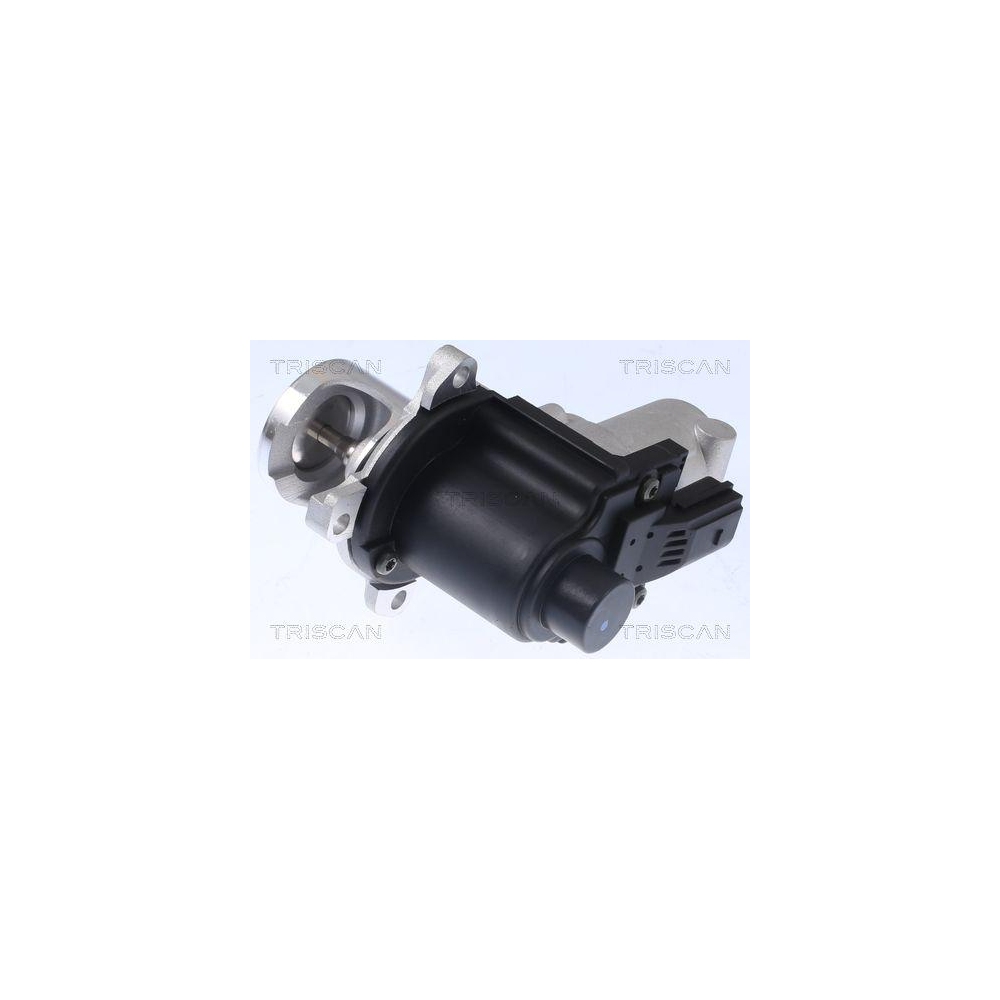 AGR-Ventil TRISCAN 8813 29015 für AUDI VW