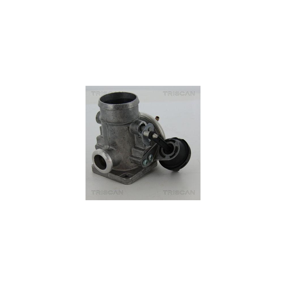 AGR-Ventil TRISCAN 8813 29300 für VW