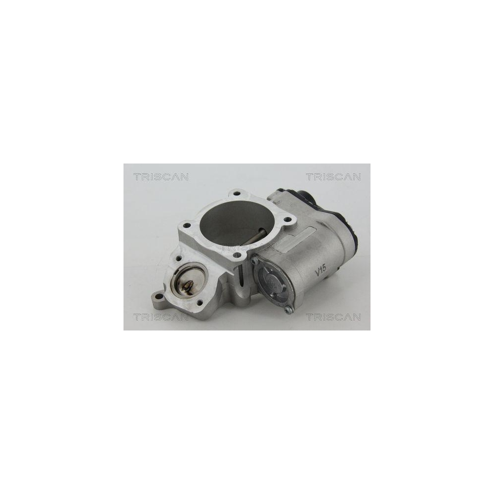 AGR-Ventil TRISCAN 8813 29028 für AUDI VW