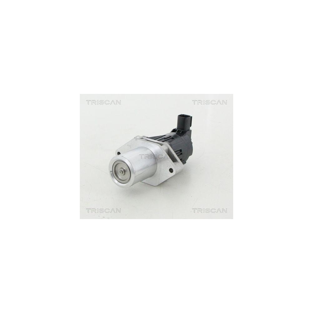 AGR-Ventil TRISCAN 8813 24209 für OPEL VAUXHALL