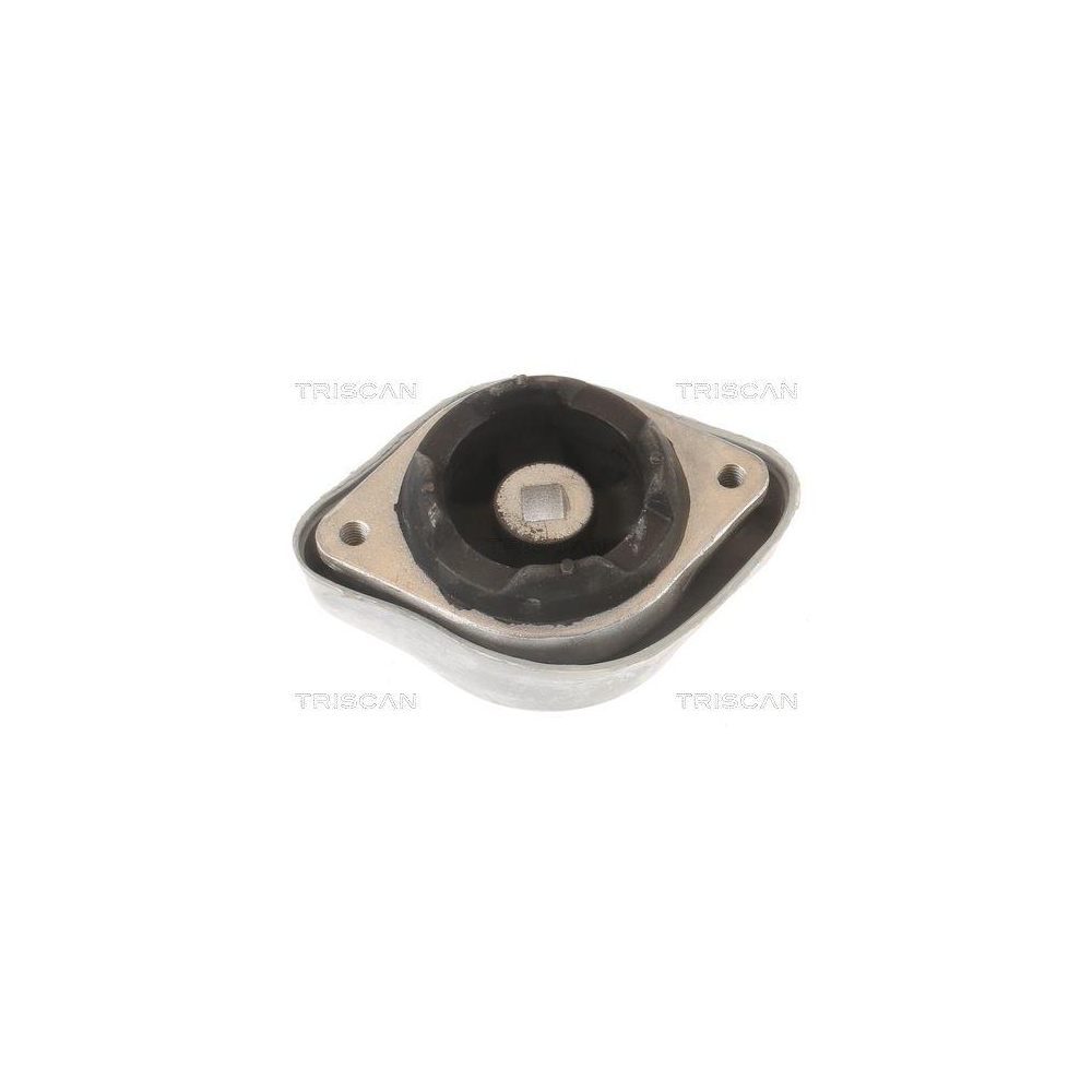 Lagerung, Automatikgetriebe TRISCAN 8505 29219 für AUDI SKODA VW, hinten, links