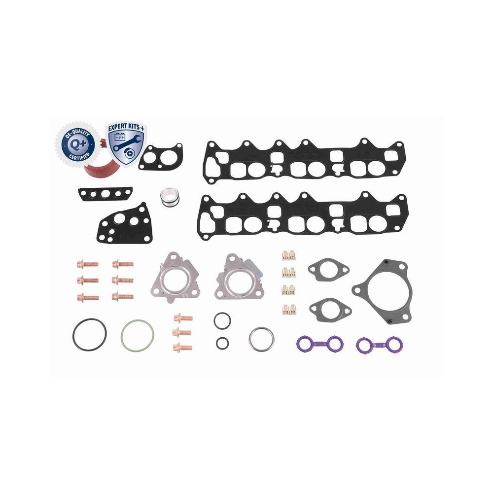 Dichtungssatz, Ölkühler VEMO V30-60-91317 EXPERT KITS + für MERCEDES-BENZ