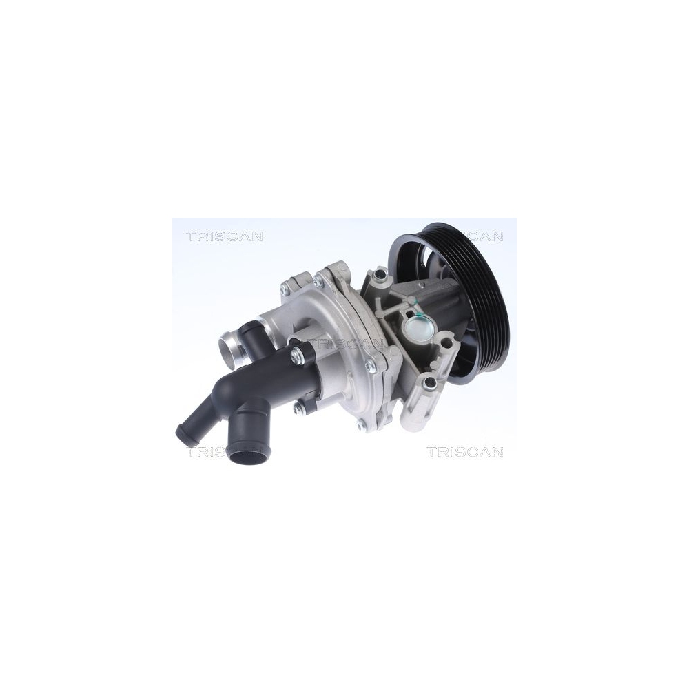 Wasserpumpe, Motorkühlung TRISCAN 8600 16071 für FORD FORD USA