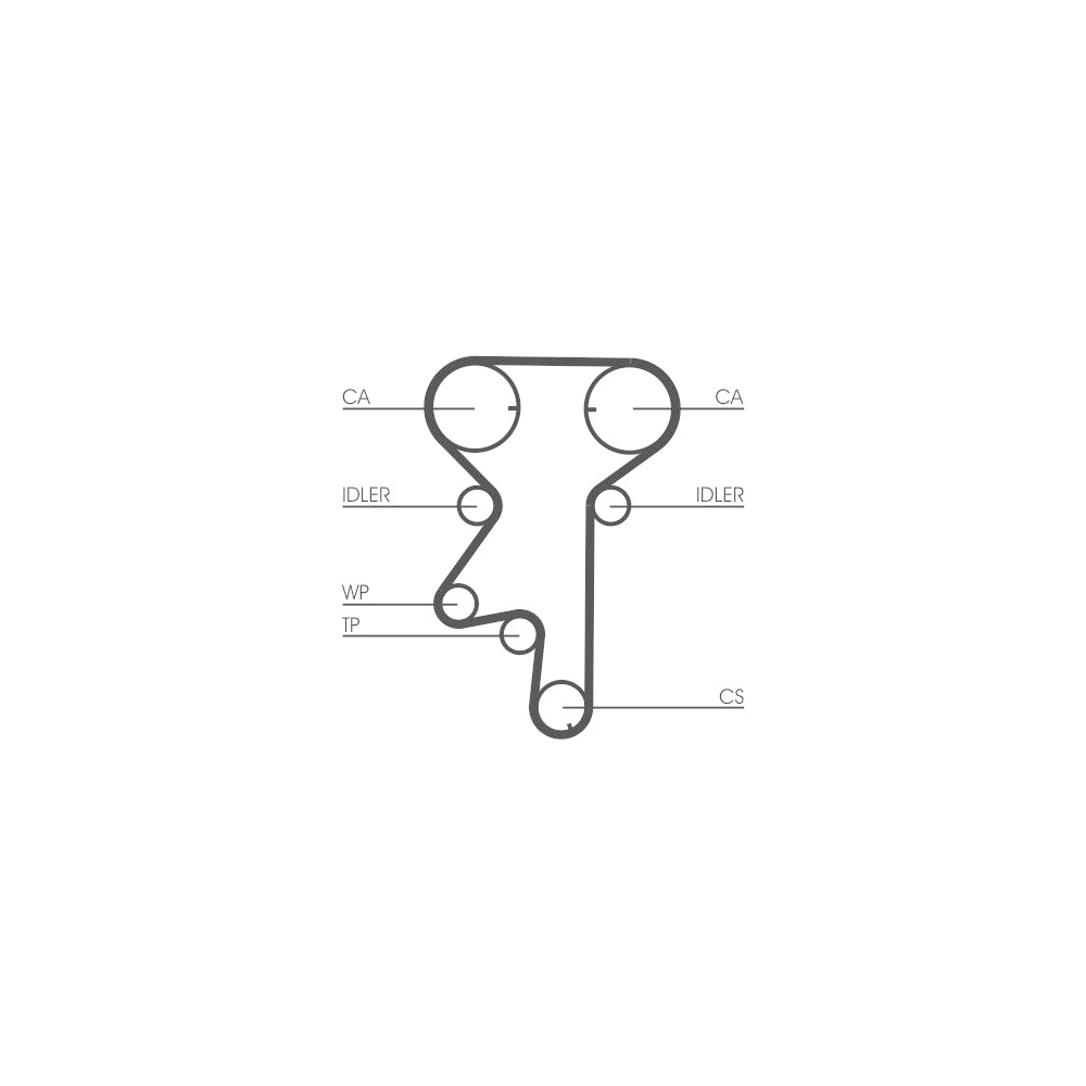 Wasserpumpe + Zahnriemensatz CONTINENTAL CTAM CT975WP2