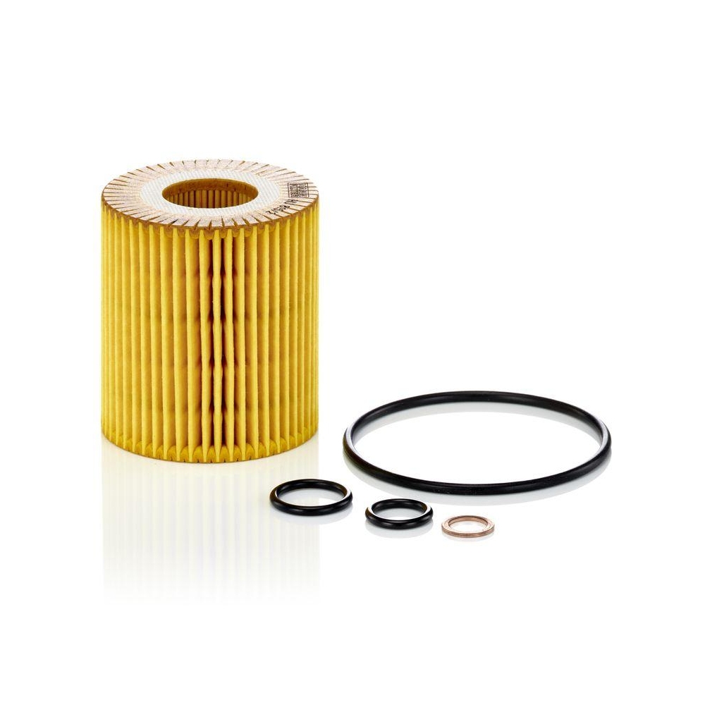 Ölfilter MANN-FILTER HU 815/2 x für BMW