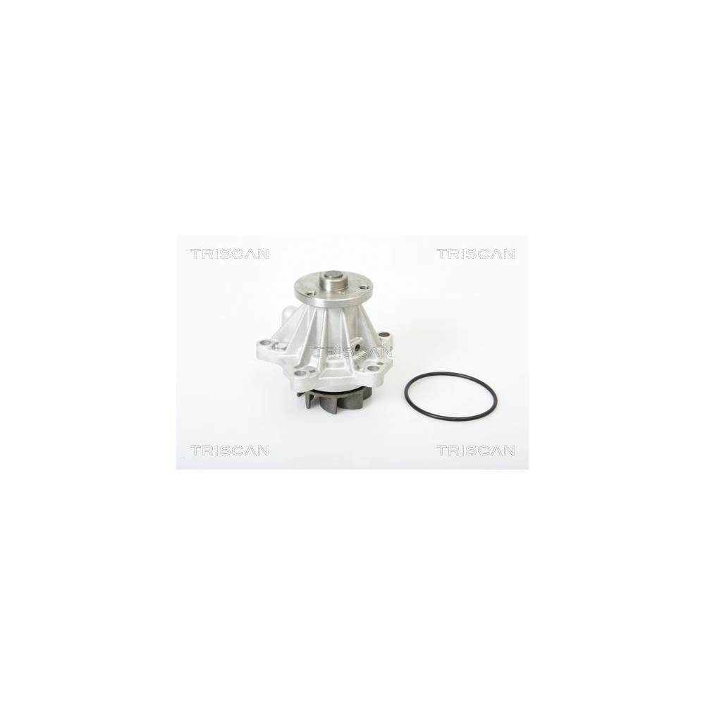 Wasserpumpe, Motorkühlung TRISCAN 8600 16002 für FORD