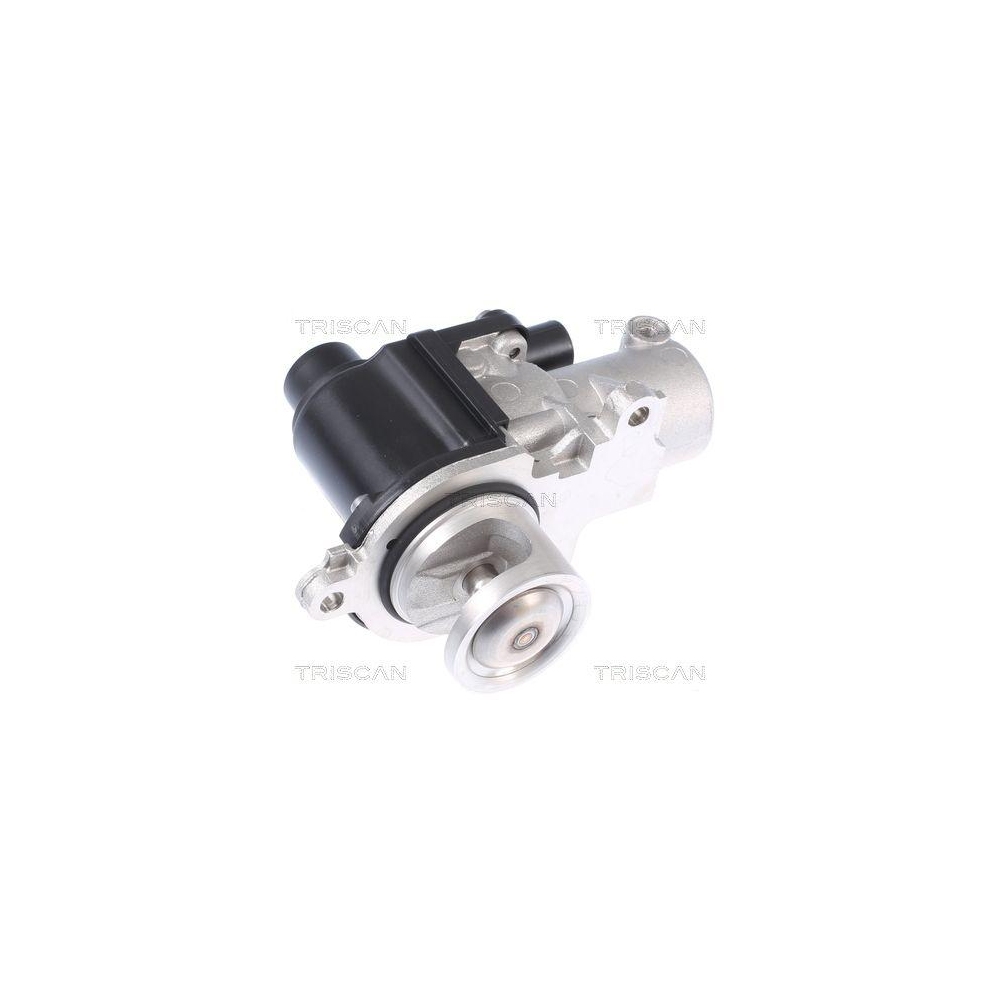 AGR-Ventil TRISCAN 8813 29338 für AUDI PORSCHE VW, beidseitig