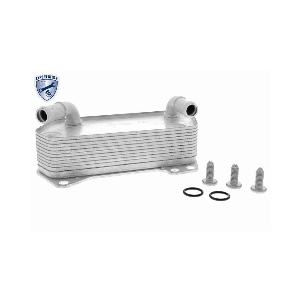 Ölkühler, Automatikgetriebe VEMO V10-60-0042 EXPERT KITS + für AUDI SEAT SKODA