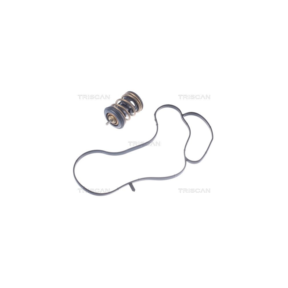 Thermostat, Kühlmittel TRISCAN 8620 49897 für AUDI SEAT SKODA VW, außen, innen