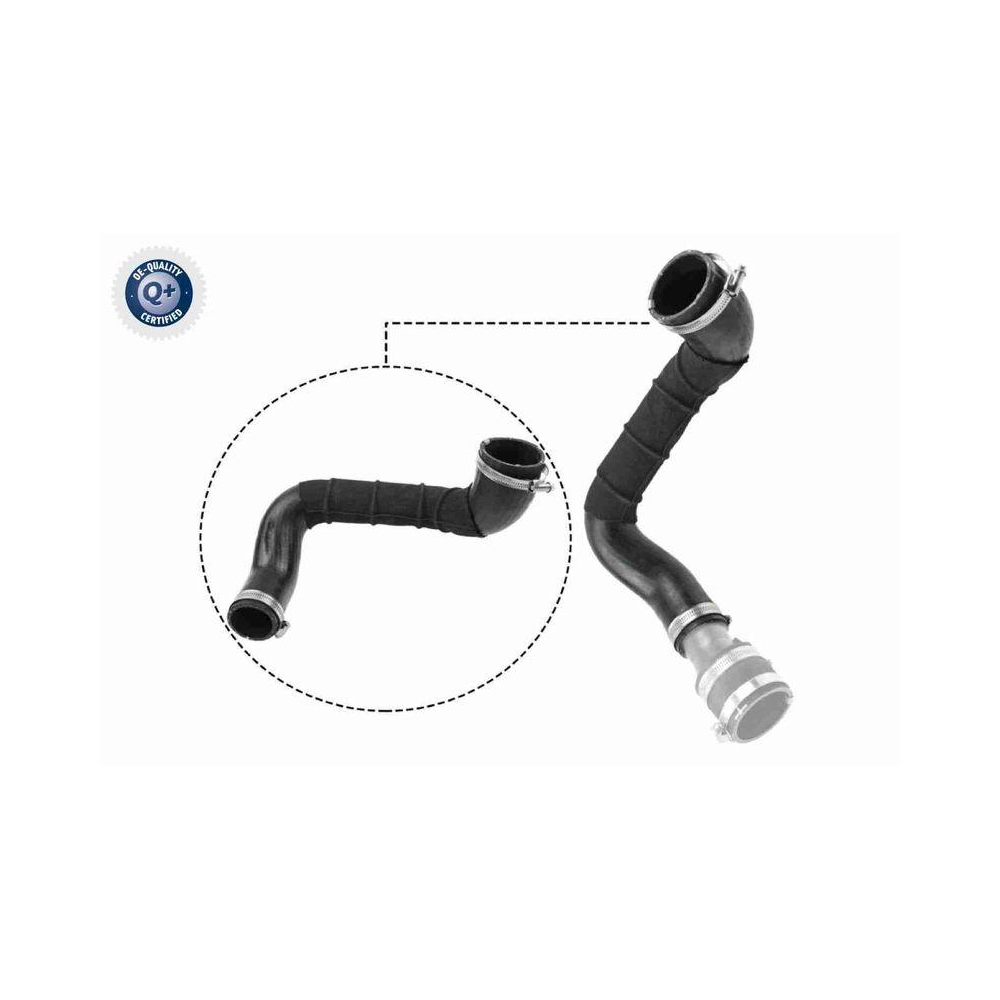 Ladeluftschlauch VAICO V25-1049 Q+, Erstausrüsterqualität für FORD, rechts