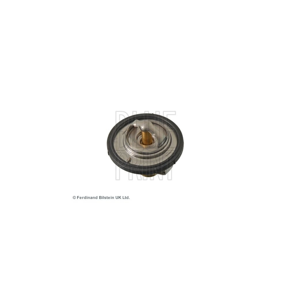 Blue Print 1x ADG09218BP Thermostat