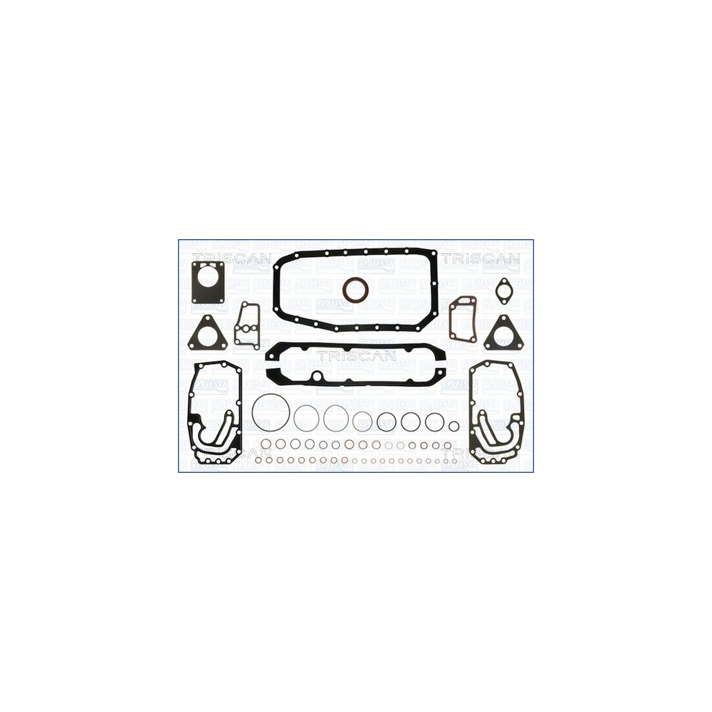 Dichtungssatz, Kurbelgehäuse TRISCAN 595-2587 für