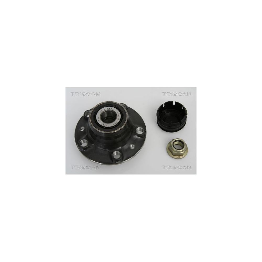 Radlagersatz TRISCAN 8530 25248 für RENAULT, Hinterachse