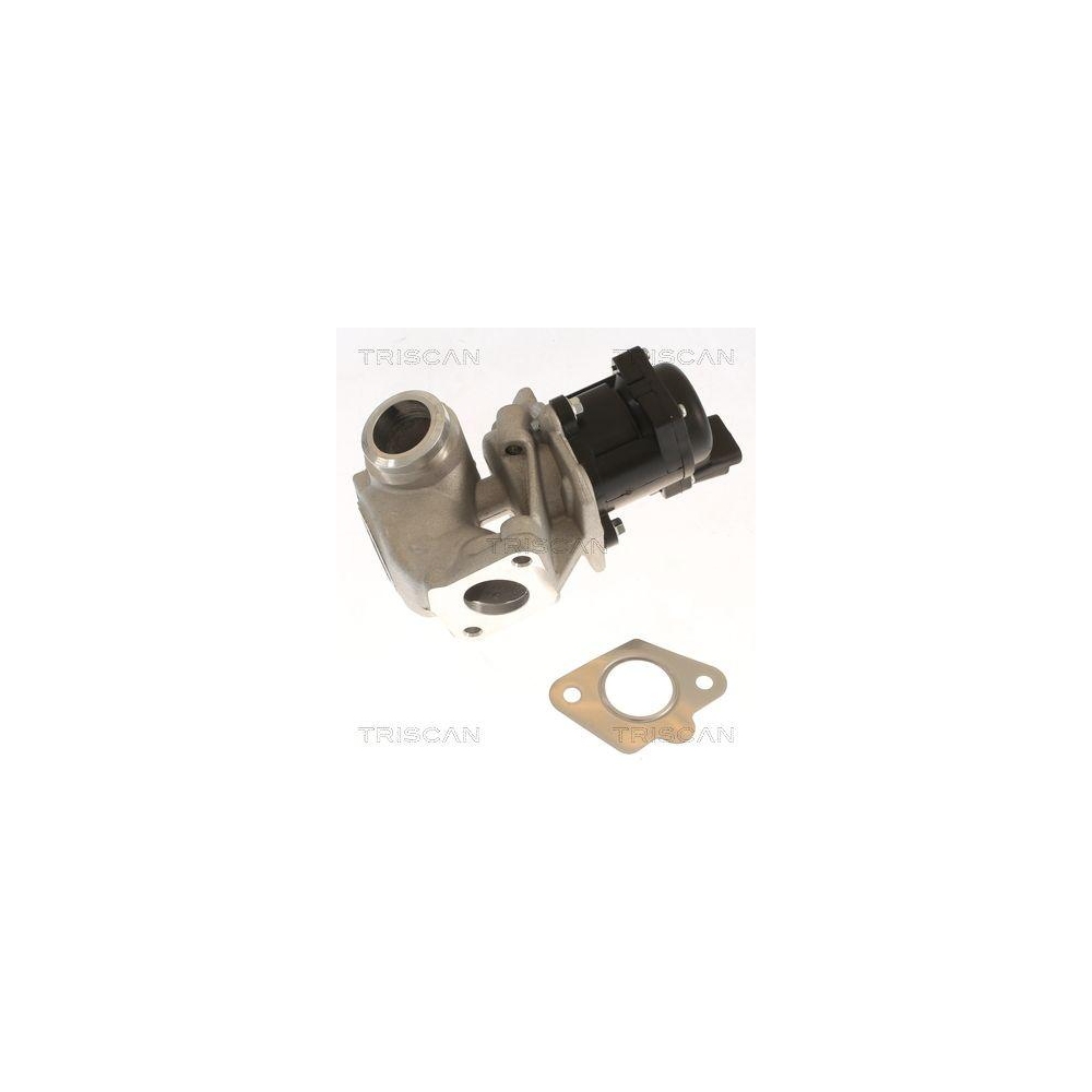 AGR-Ventil TRISCAN 8813 10018 für FORD MAZDA VOLVO MINI