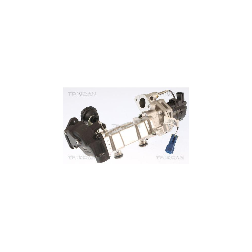 AGR-Ventil TRISCAN 8813 15001 für CHRYSLER JEEP