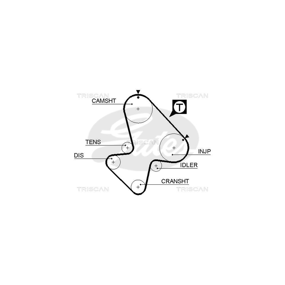 Zahnriemen TRISCAN 8645 5207 für AUSTIN CITROËN MG MORRIS PEUGEOT ROVER TRIUMPH