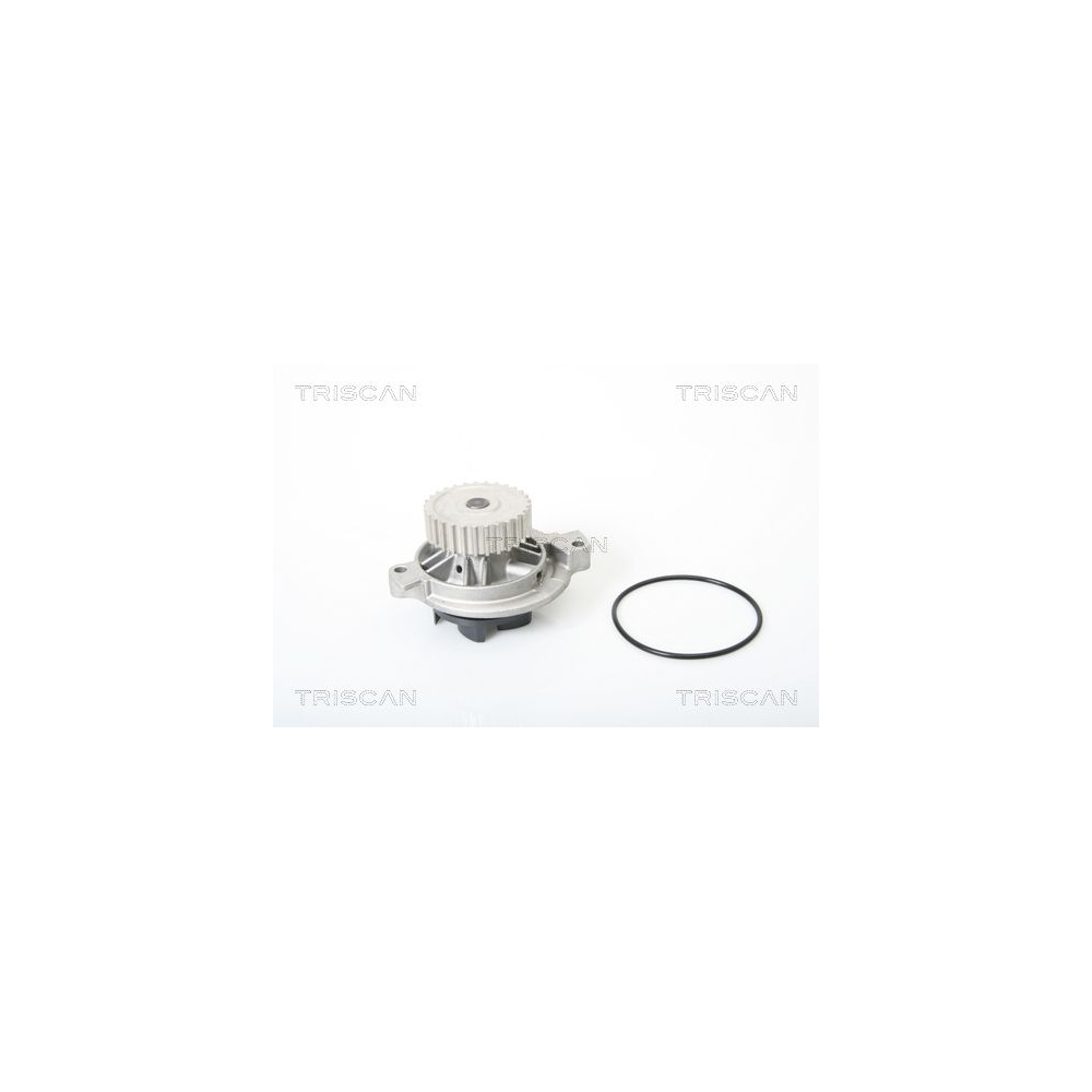 Wasserpumpe, Motorkühlung TRISCAN 8600 29962 für AUDI