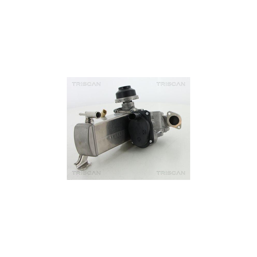 AGR-Ventil TRISCAN 8813 29071 für AUDI VW