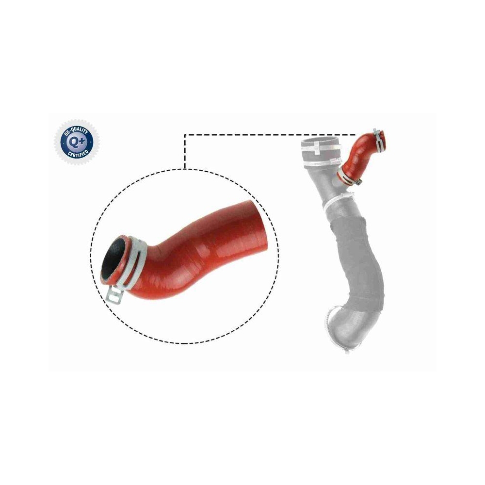 Ladeluftschlauch VAICO V25-1032 Q+, Erstausrüsterqualität für FORD, rechts