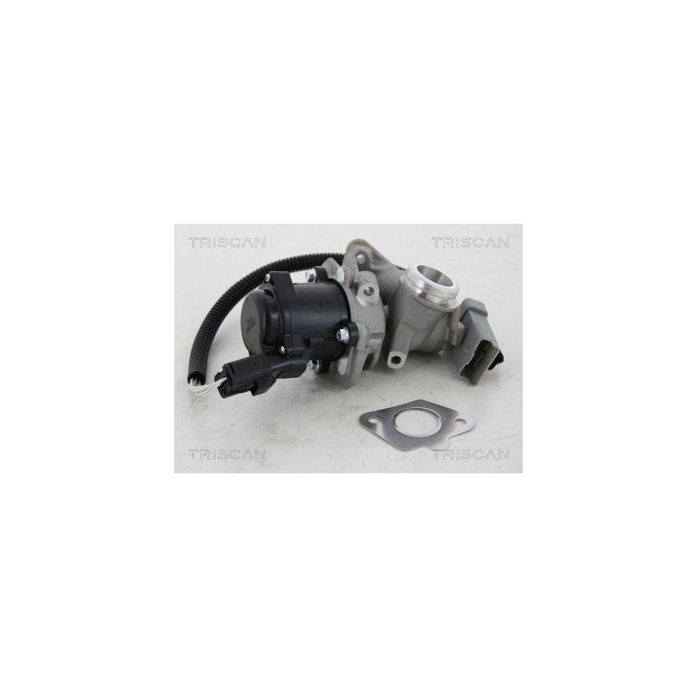 AGR-Ventil TRISCAN 8813 16034 für FORD VOLVO