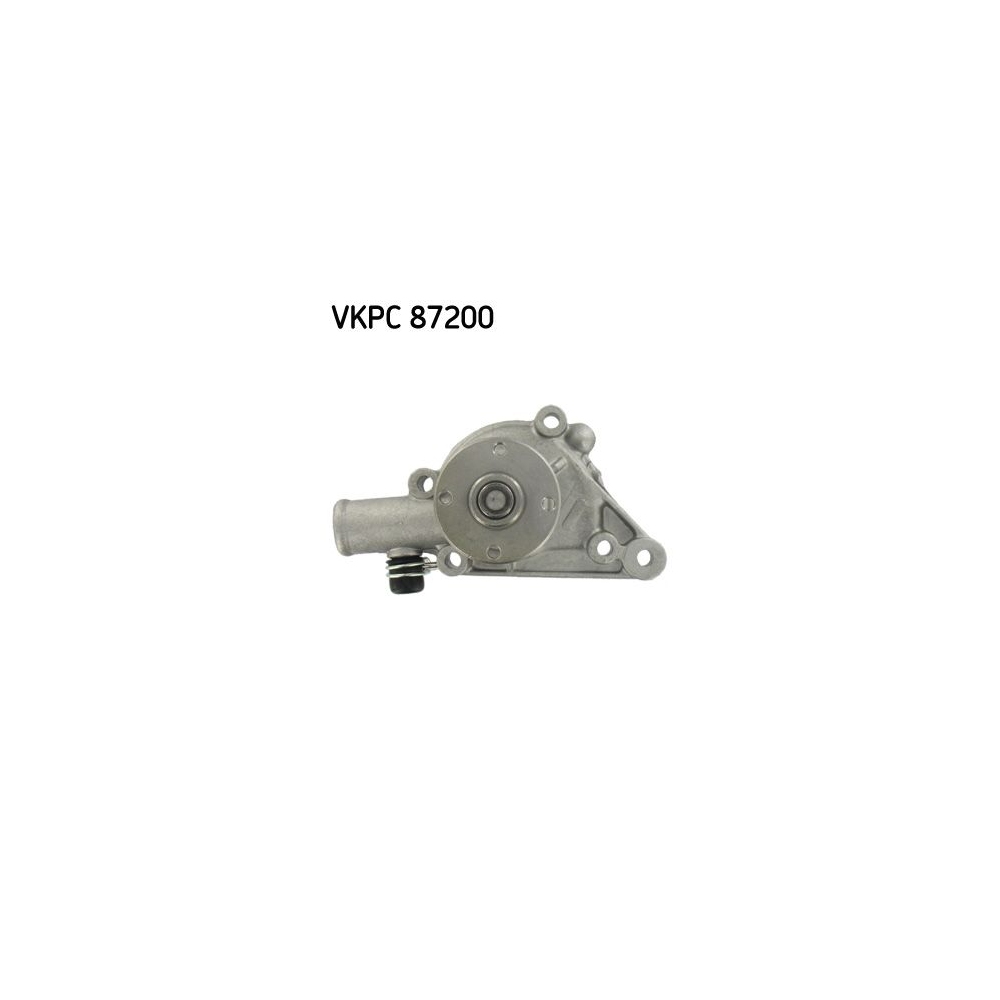 Wasserpumpe SKF VKPC 87200 für ROVER