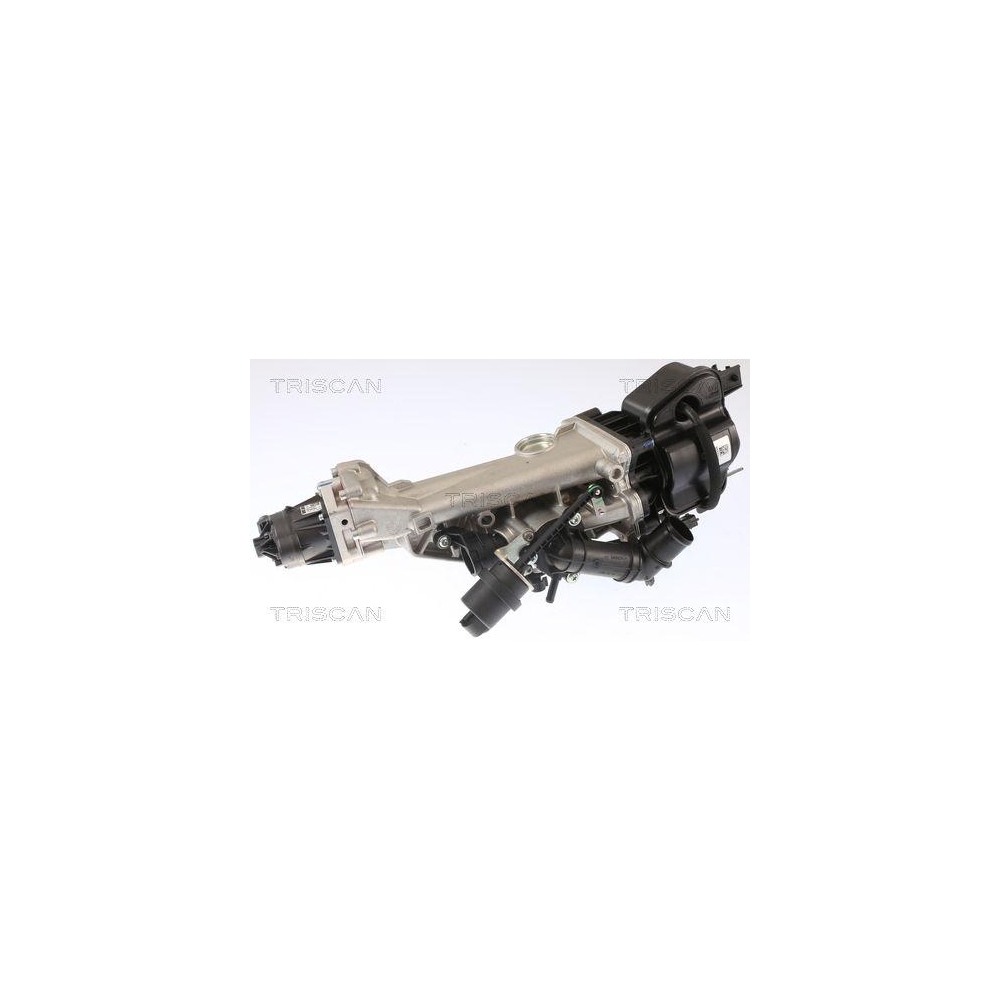 AGR-Ventil TRISCAN 8813 24007 für OPEL VAUXHALL