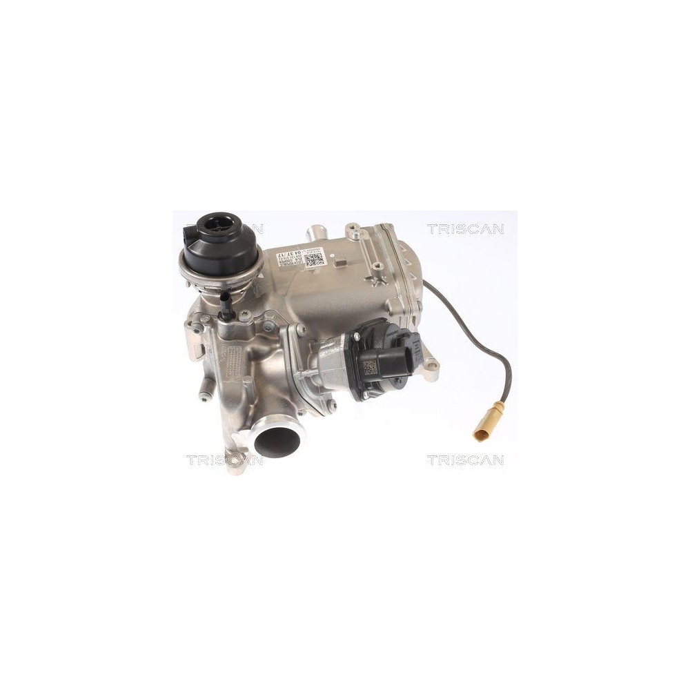 AGR-Ventil TRISCAN 8813 29008 für AUDI VW